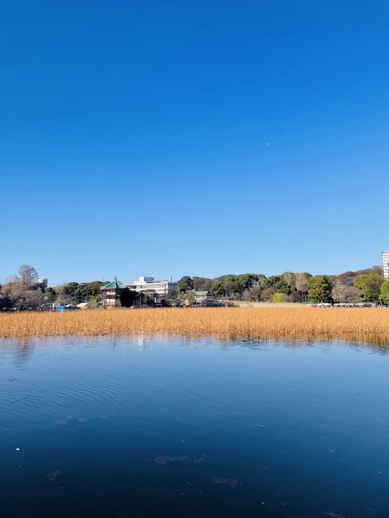 上野恩賜公園_不忍池
